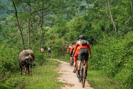 Vietnam Tour Mountain Bike Challenge in the Far North 12 Days